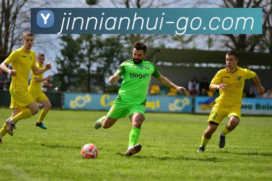 多媒体互动体验